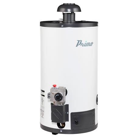 Calentador de Depósito IUSA Primo 60Lts Gas LP PV1533